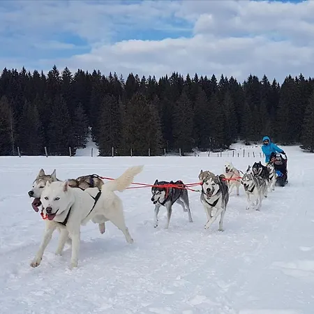 Apartamento Vent_du_nord Tramelan